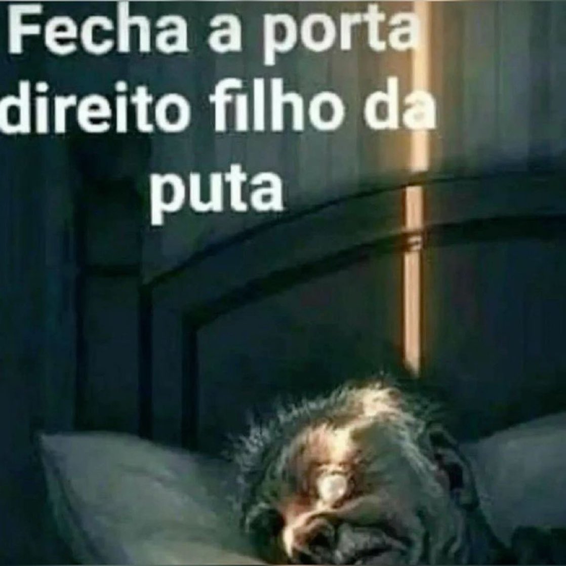 shit_postagens's tweet photo. https://t.co/S8k1LkTAfx
