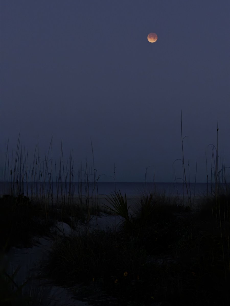 sandkeytiki's tweet photo. Lunar eclipse over the Gulf 
#FlWx #lunareclipse #wolfmoon 
⁦@spann⁩ ⁦@weatherchannel⁩ ⁦@bn9weather⁩ ⁦@PaulFox13⁩ https://t.co/Ka9p86Sj0S