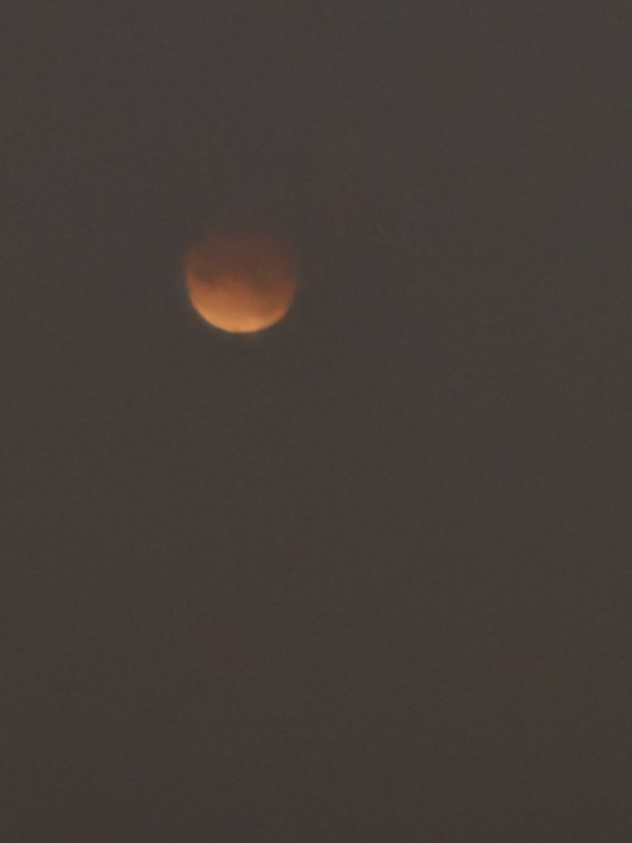 sandkeytiki's tweet photo. Lunar eclipse over the Gulf 
#FlWx #lunareclipse #wolfmoon 
⁦@spann⁩ ⁦@weatherchannel⁩ ⁦@bn9weather⁩ ⁦@PaulFox13⁩ https://t.co/Ka9p86Sj0S