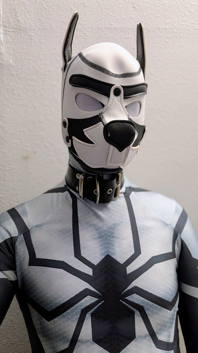BrokenFoxAD (@Brokenfox) / Posts / X