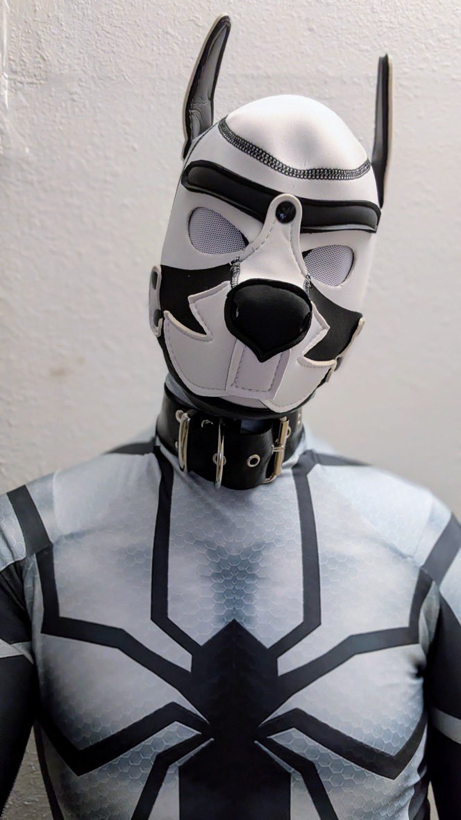 Pup Gusset (@GussetPup) / Posts / X
