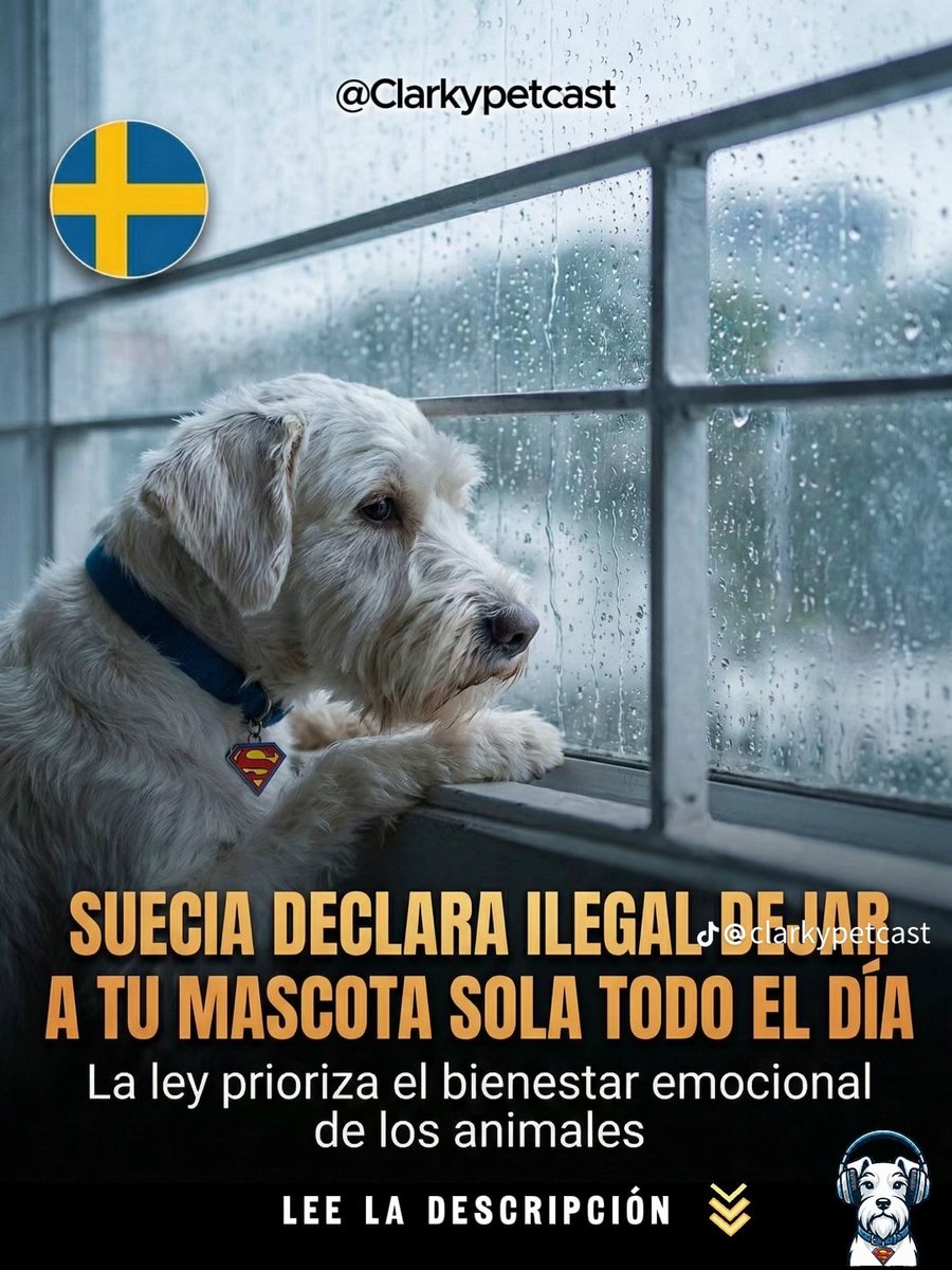 Luis Aníbal Rincón Arguello. ® 🇨🇴 tweet media