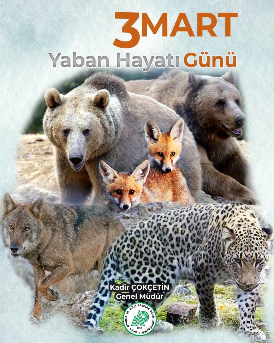 Ülkemizin sahip olduğu zengin yaban hayatının korunması ve mevcut türlerin gelecek nesillere sağlıklı bir şekilde aktarılması amacıyla çalışmalarımızı kararlılıkla sürdürüyoruz.

Bilimsel veriler ışığında yürüttüğümüz koruma, izleme ve rehabilitasyon faaliyetleriyle yaban