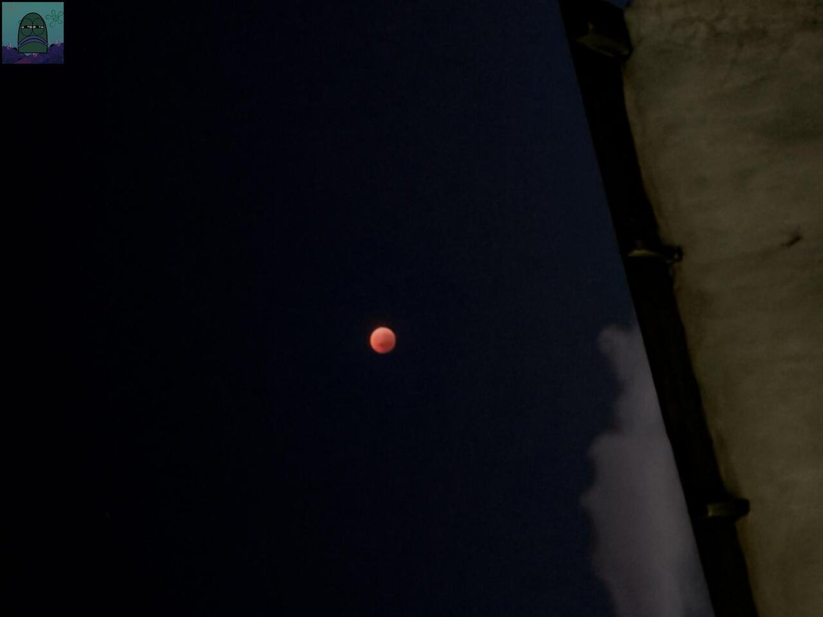 Tanyarl 💚 tweet media