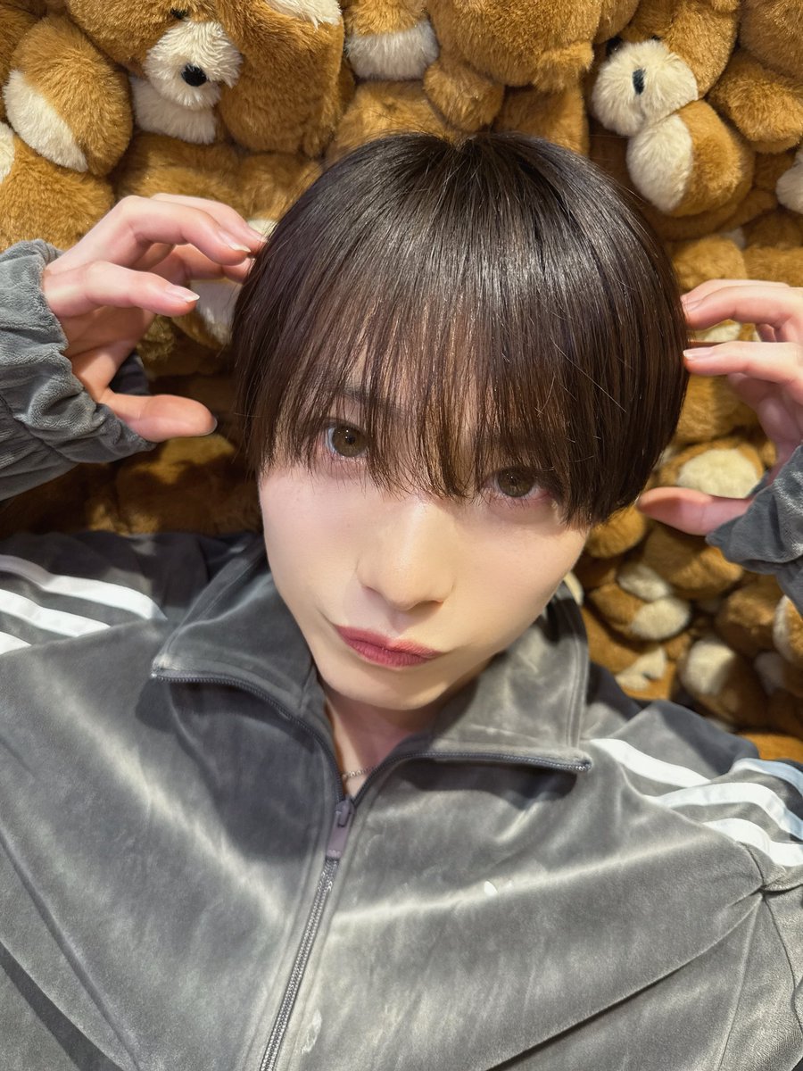 可愛くってくまっちゃうなぁ