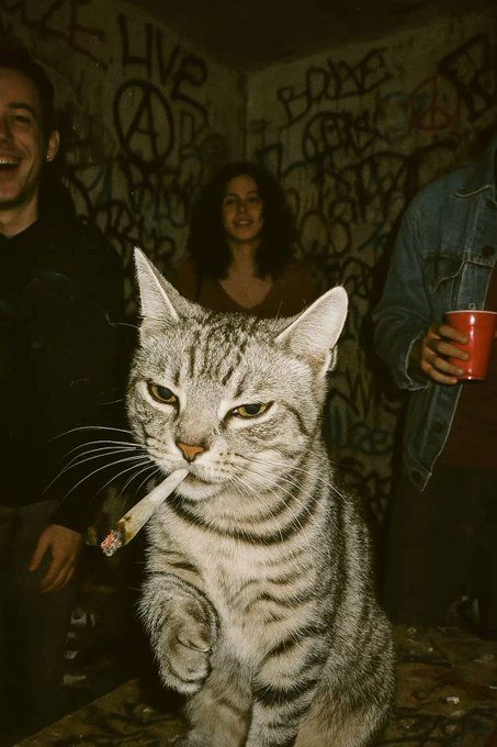 𝖆𝖗𝖙𝖟~𝖓𝖔𝖜 (@artznow_) on Twitter photo 