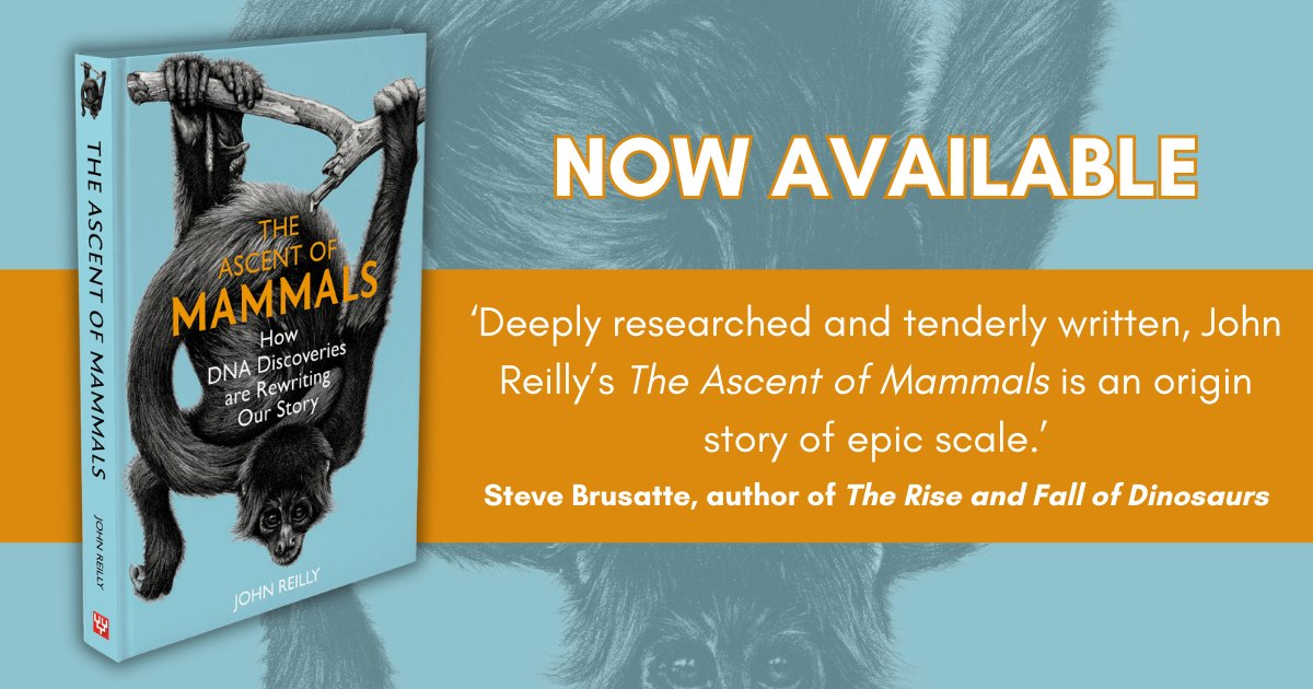 pelagicpublish's tweet image. Published today! The Ascent of Mammals by John Reilly 📖

'Deeply researched and tenderly written' - @SteveBrusatte

Learn more and order your copy ➡️ tinyurl.com/2mjc429c

#mammals #evolution #speciation #genetics #dna