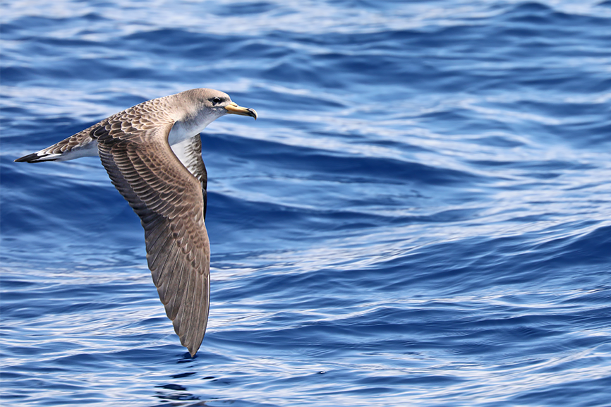 LIFE Intemares tweet media