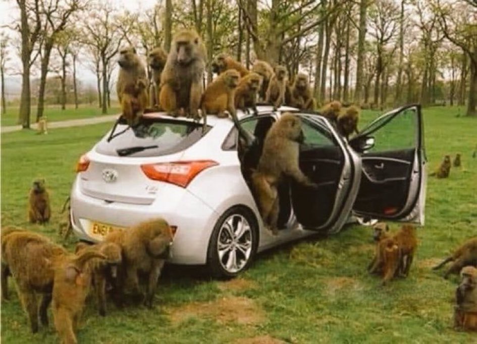 Beans on school posho be like😂