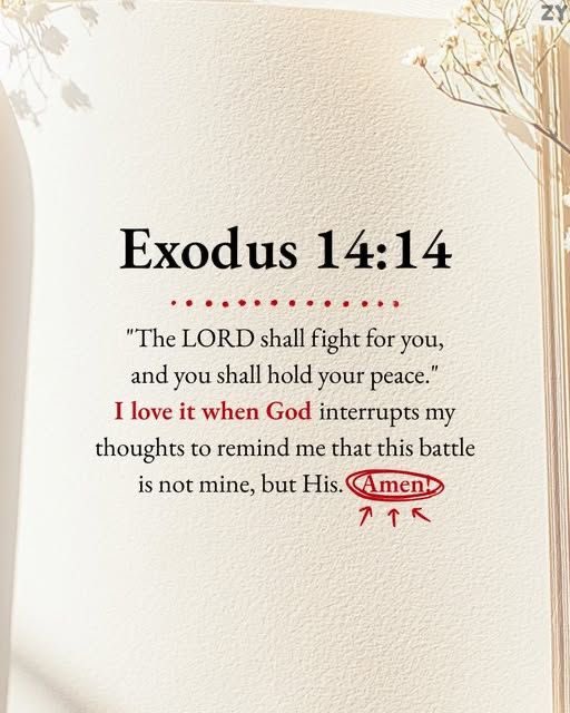 Holy__Bible1's tweet photo. https://t.co/4DmHJjYpC0