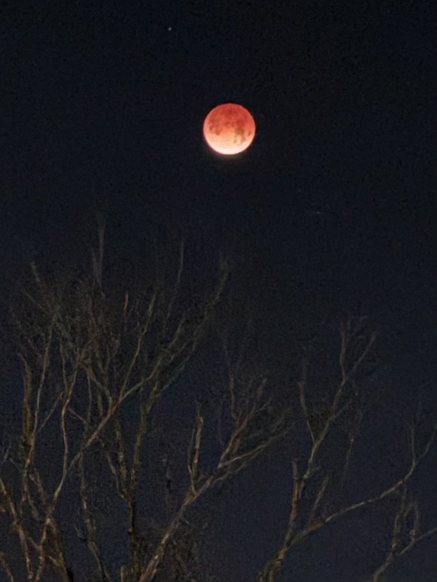 Marshall Ramsey ✏️ tweet media