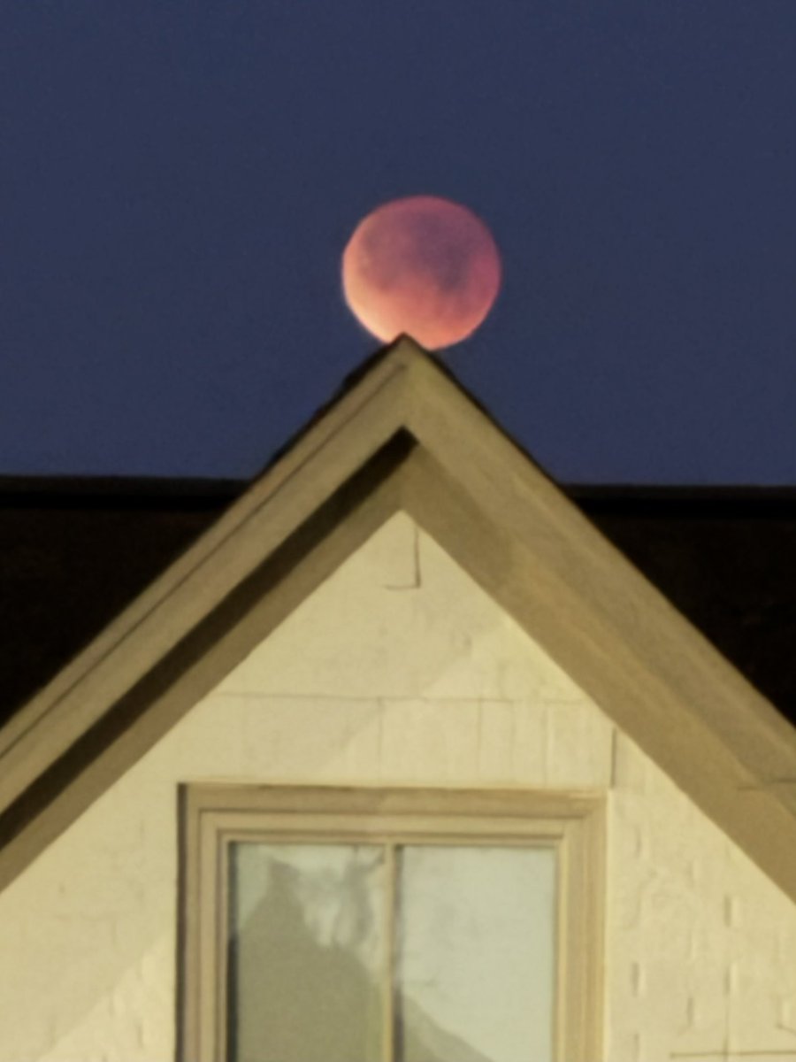 Marshall Ramsey ✏️ tweet media