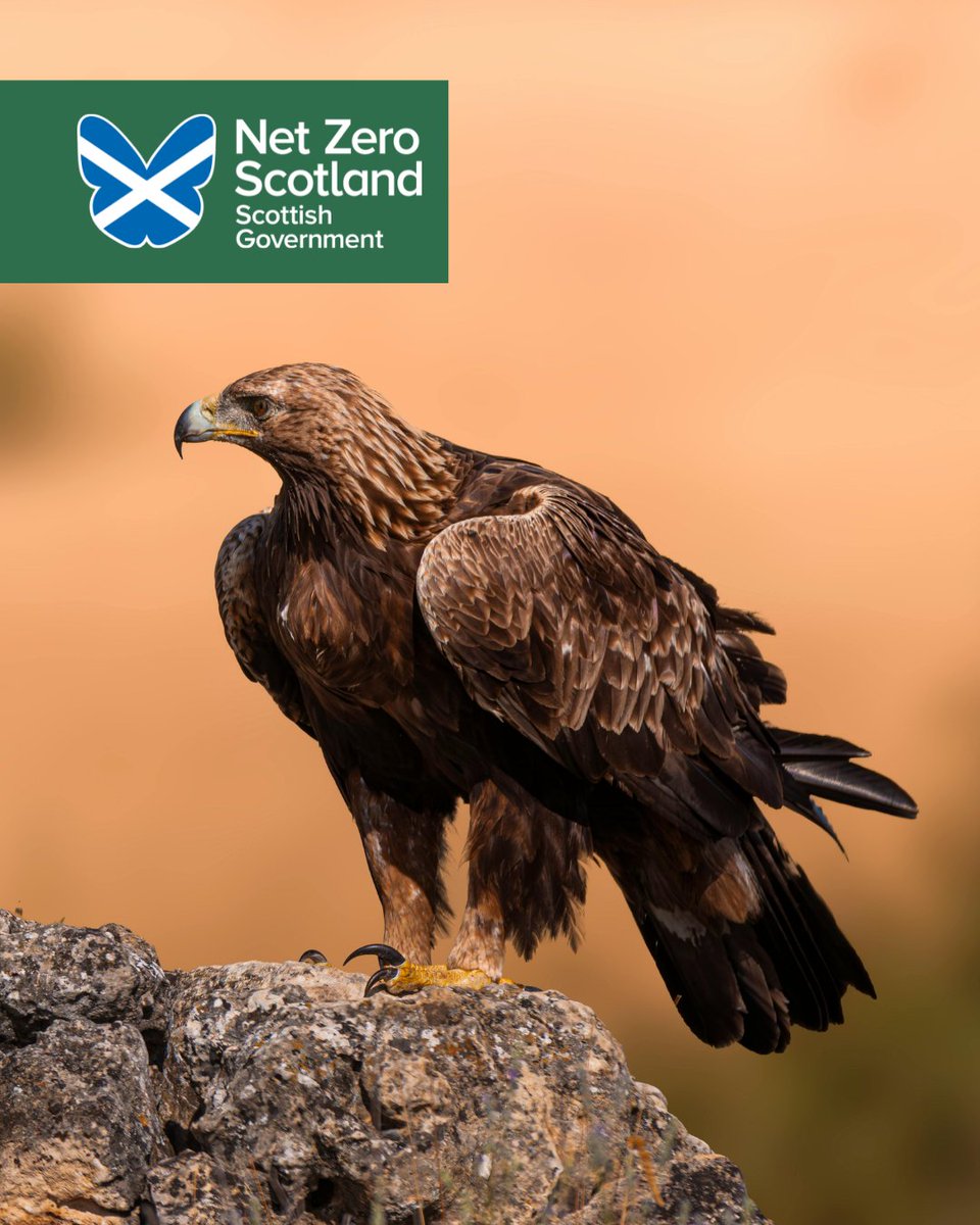 Net Zero Scotland tweet media