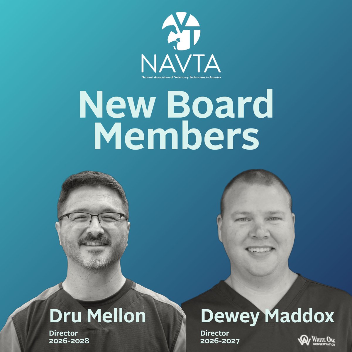 vettechs tweet media