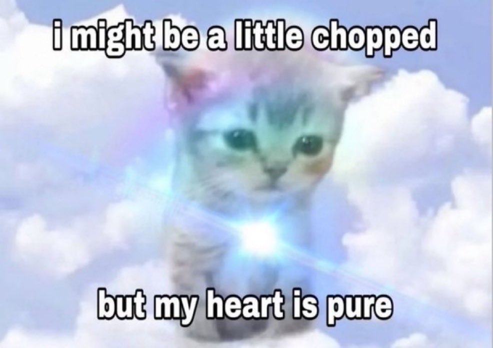 ^ ̳ᴗ ̫ ᴗ ̳^ (@MyCuteCatPage) / Posts / X