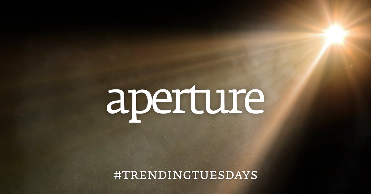 Collins Dictionary tweet media