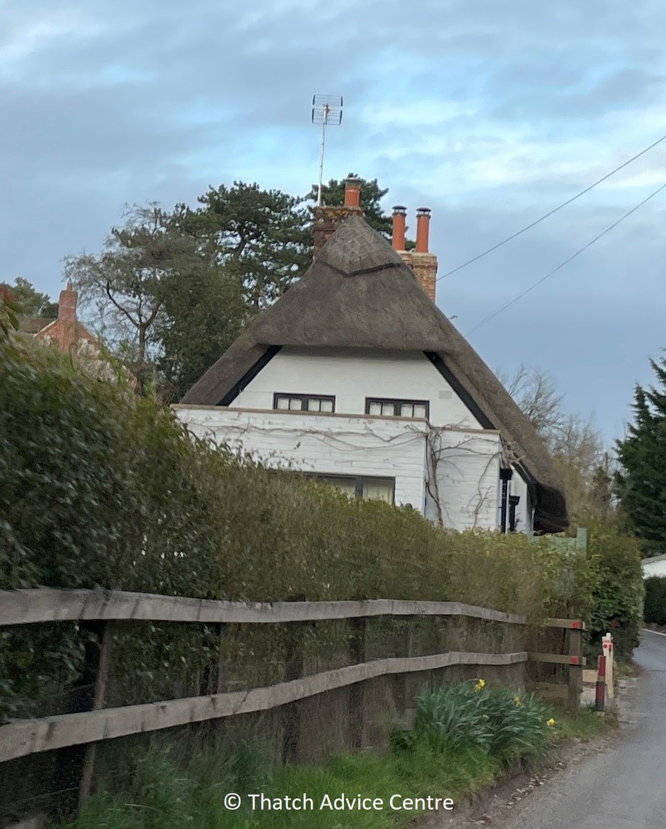 Thatch Advice Centre tweet media