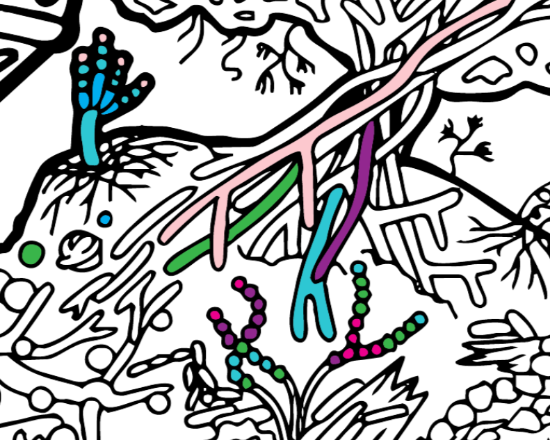 Microbiology Society tweet media