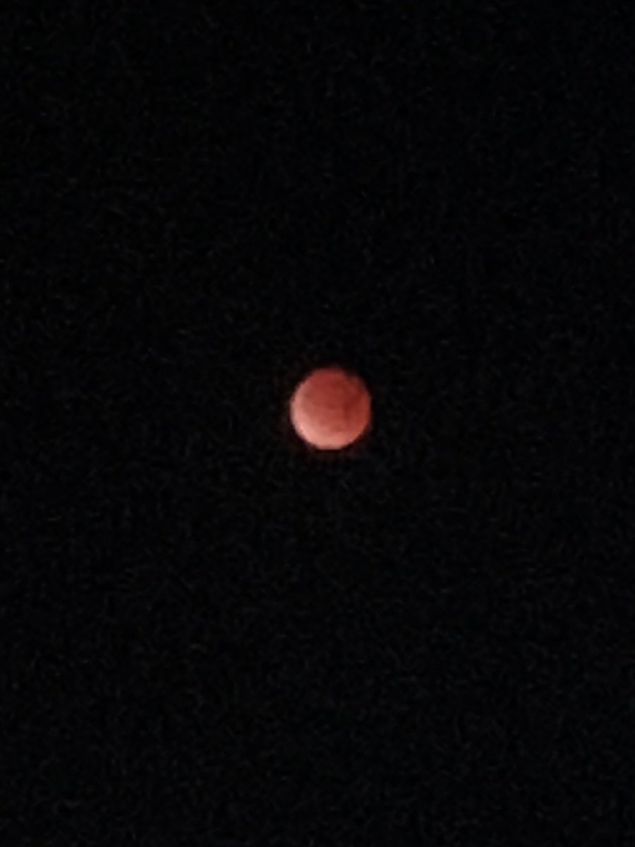 GM X
Did You See It 
#BloodMoon