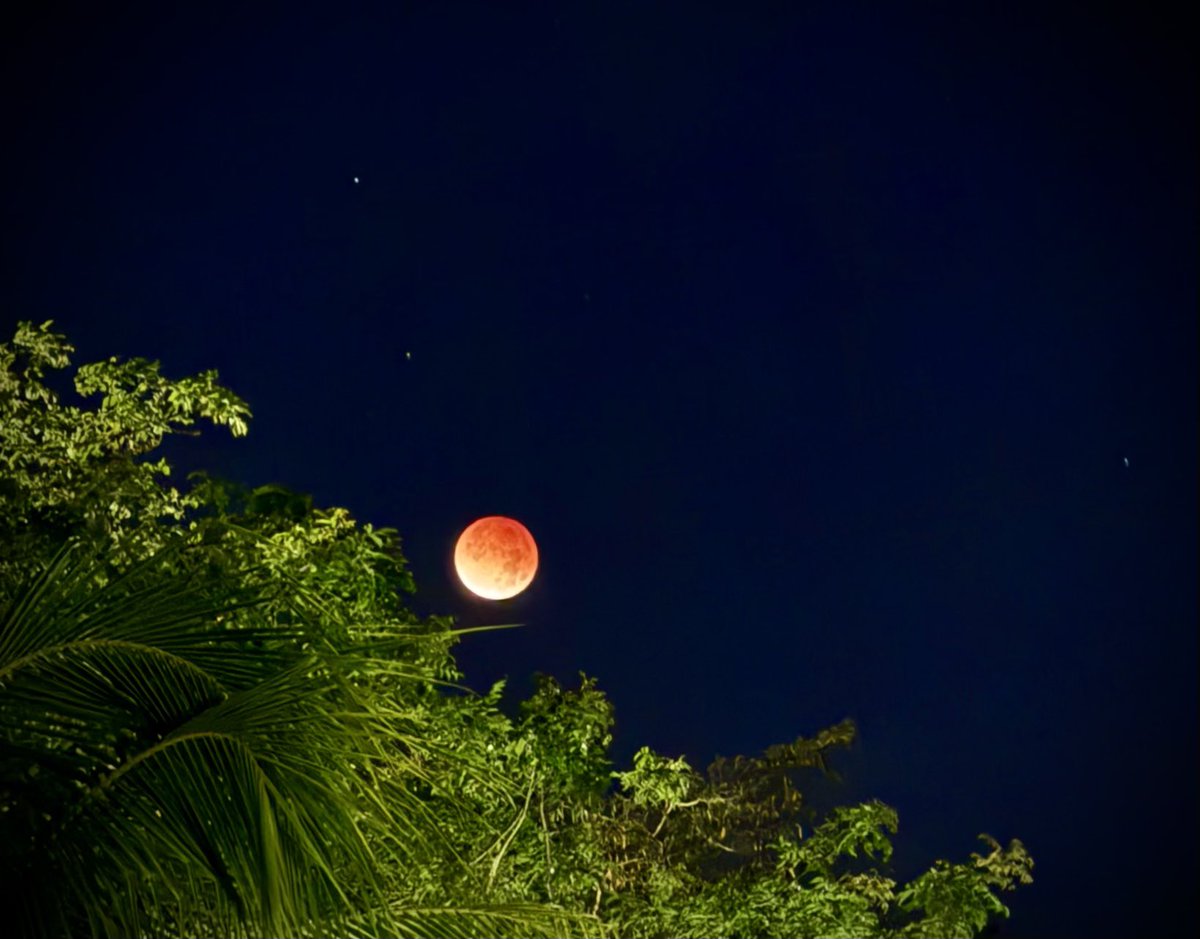 alejandro7672's tweet photo. Que espectacular el eclipse lunar… fotografía desde San Miguel. https://t.co/OjXmGyIFq4