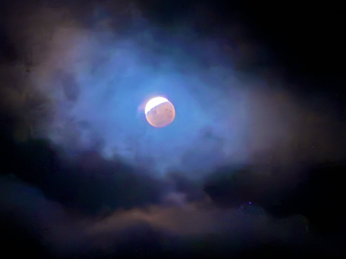 anna sublet tweet media