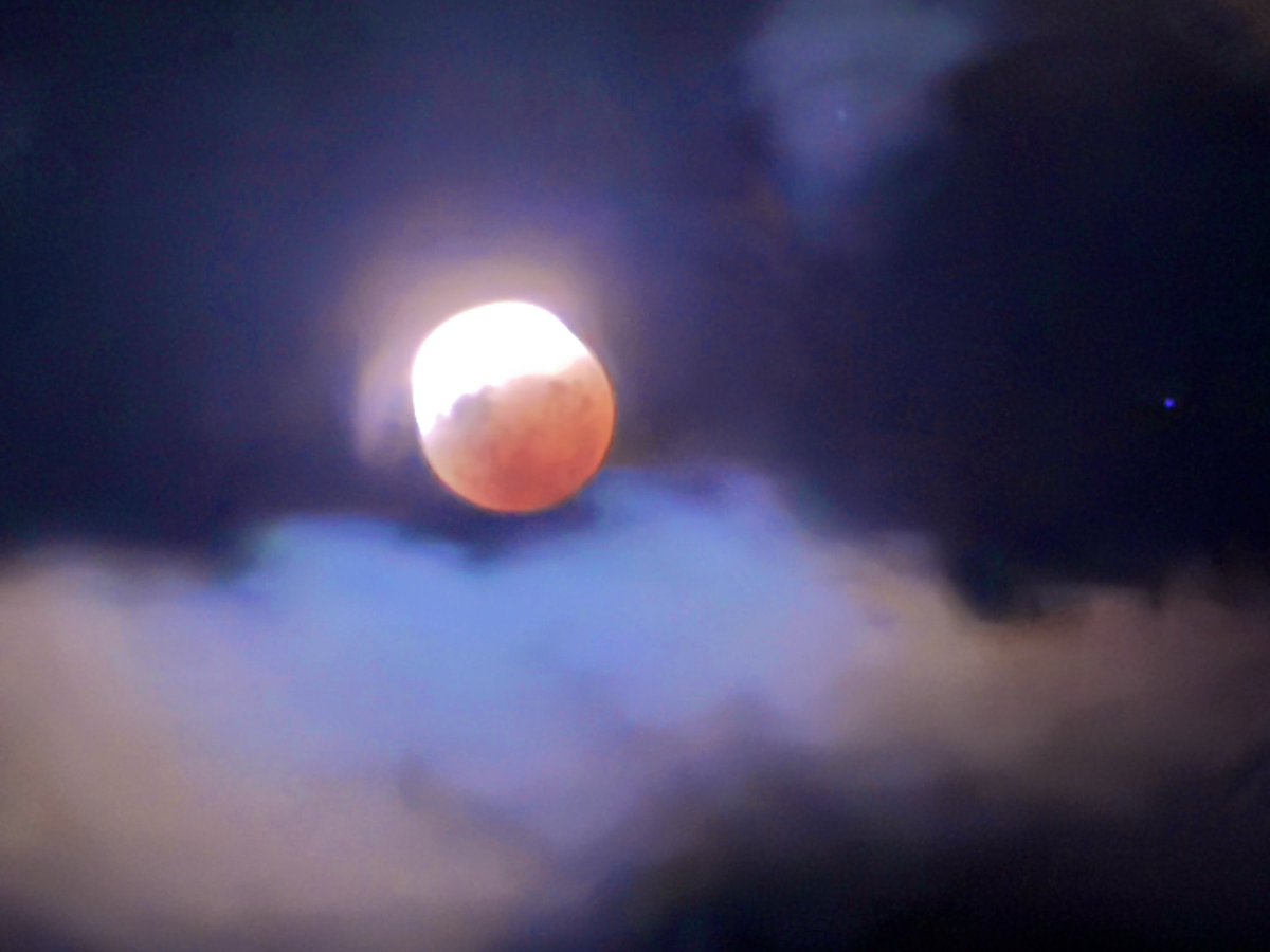 anna sublet tweet media