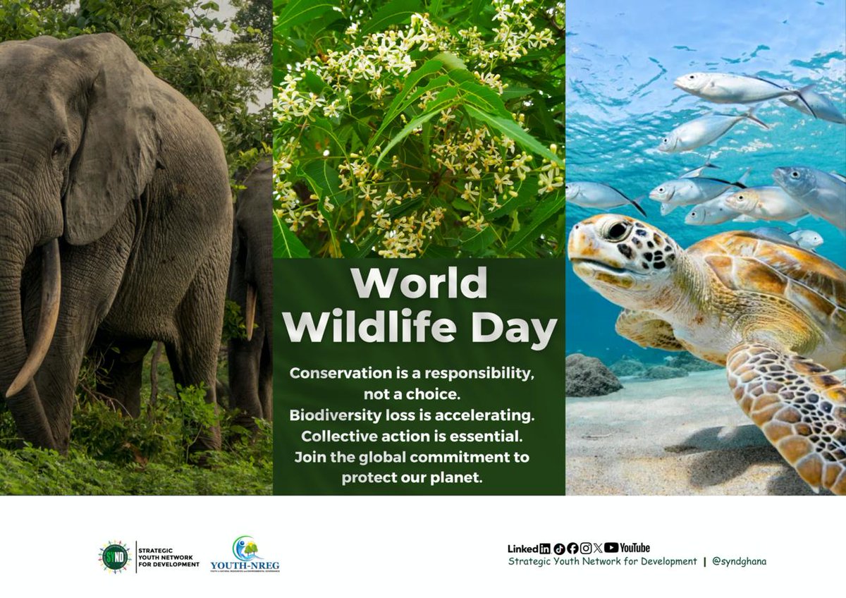 Strategic Youth Network For Development(SYND) tweet media