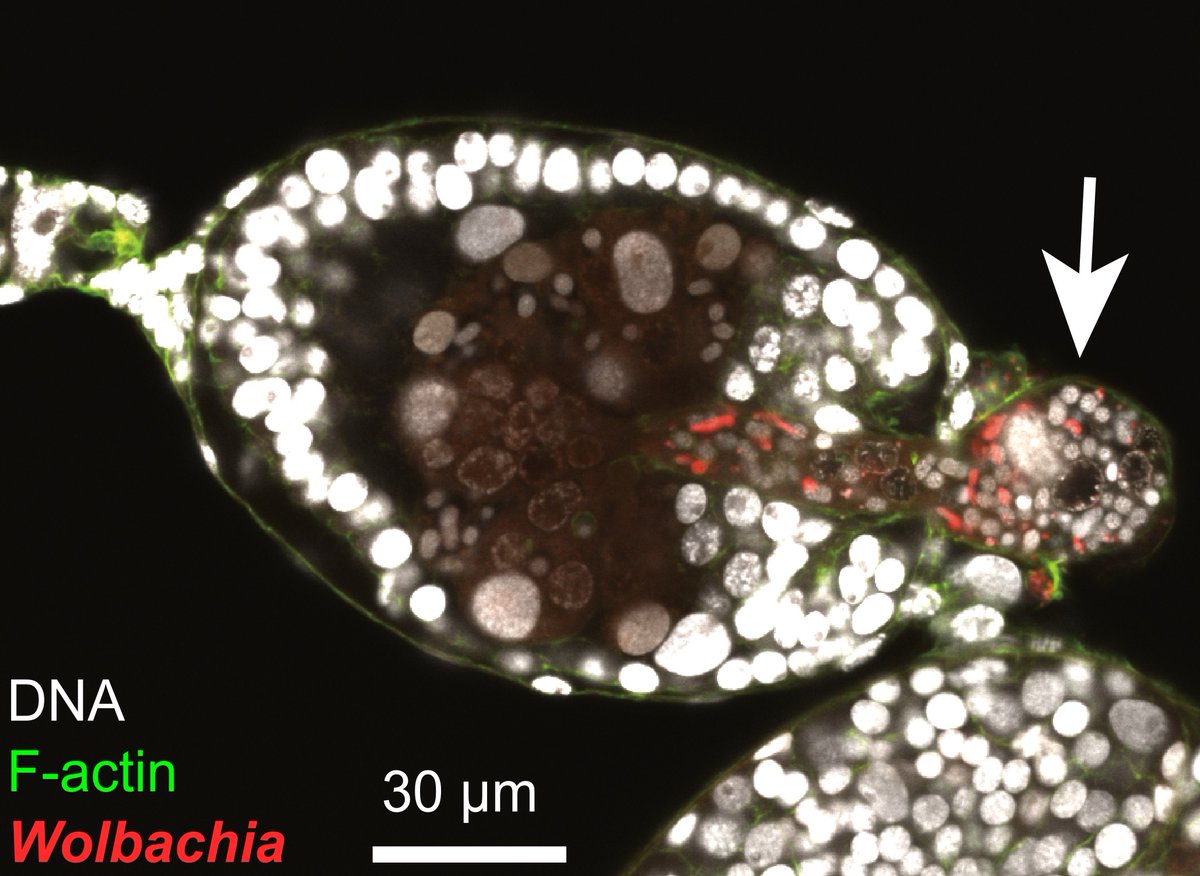 t_nozaki tweet media