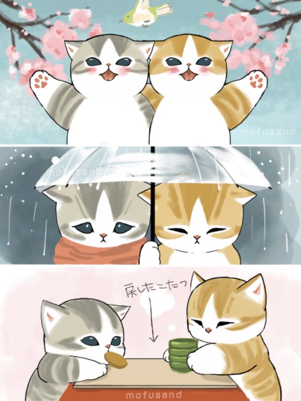 ぢゅの🐈 tweet media