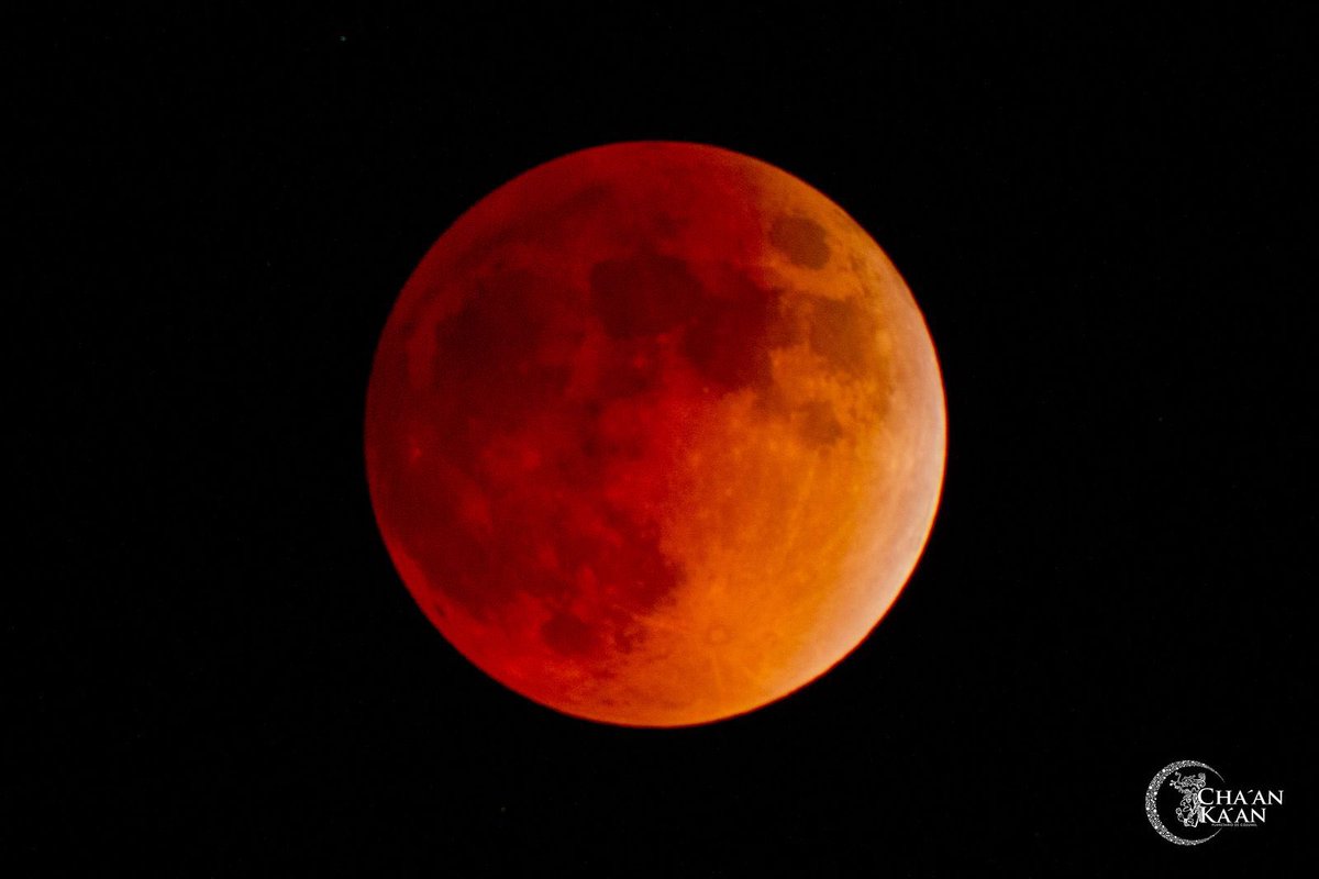 Amanecemos con esta impactante fotografía del #EclipseTotalDeLuna 🌕✨, captada hace unos minutos desde el planetario de #Cozumel. 🔭📸