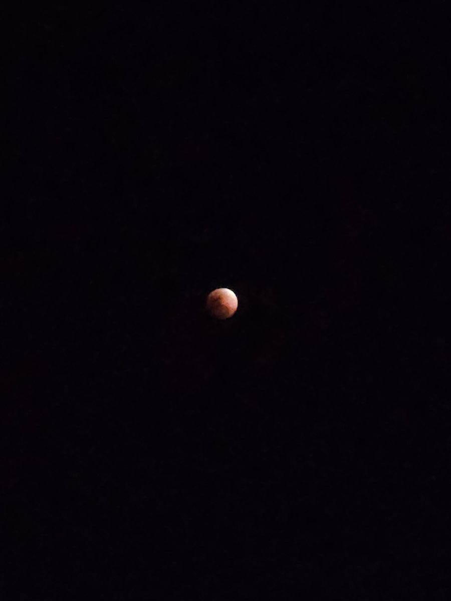 sleepynel's tweet photo. Red moon~ 🔴 https://t.co/OwmUSymIFu