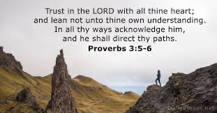 David Spell tweet media