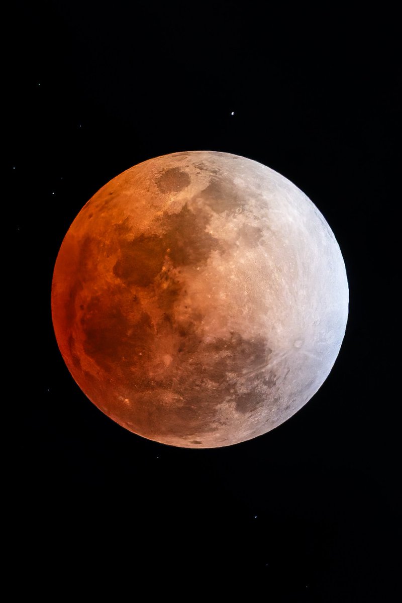 今さっき撮った皆既月食。予報に反して夜空には雲一つ無くて良かった。晴れの国岡山、有難う。