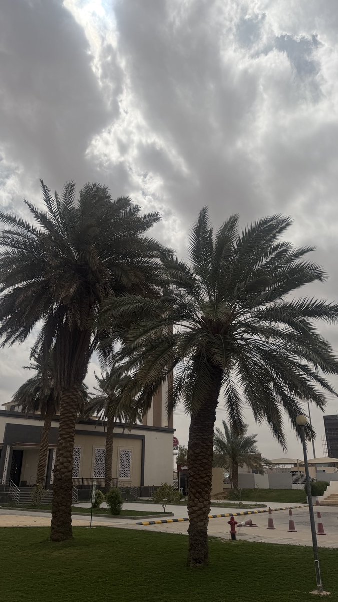 هيـاء tweet media