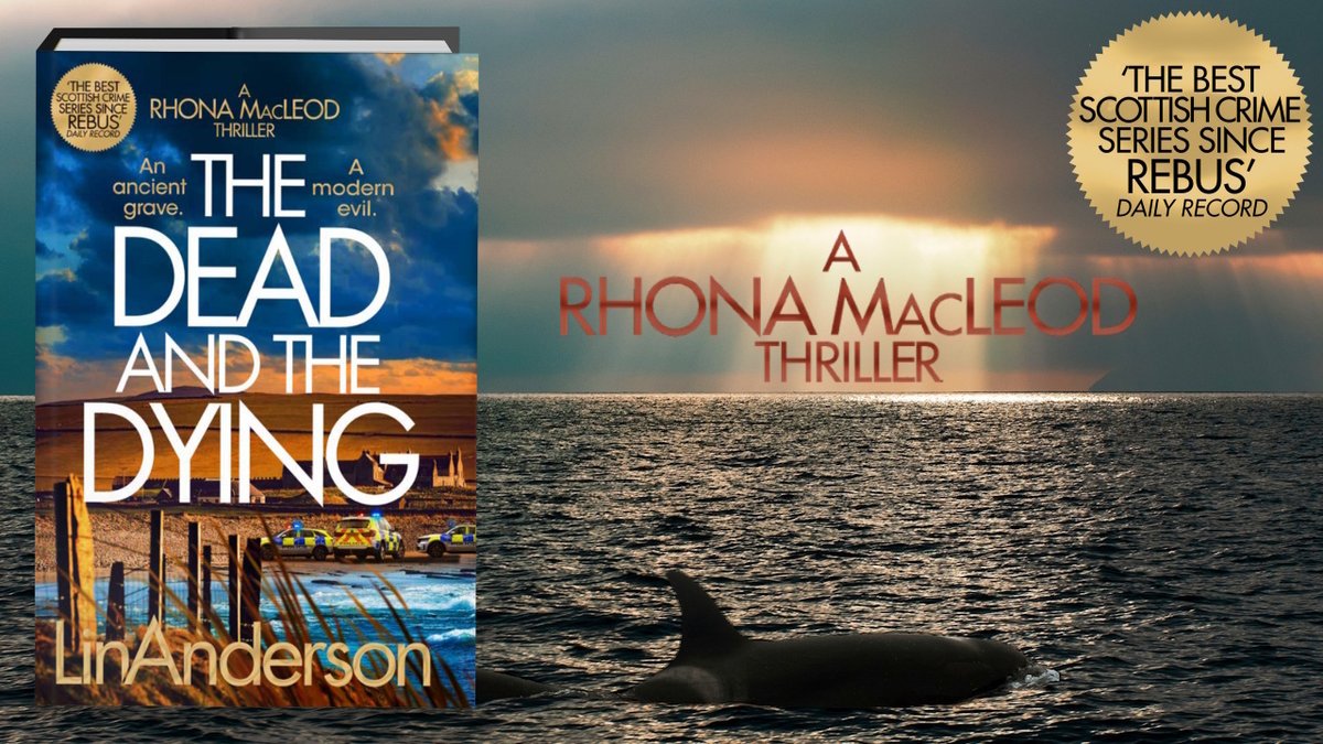 Lin Anderson tweet media