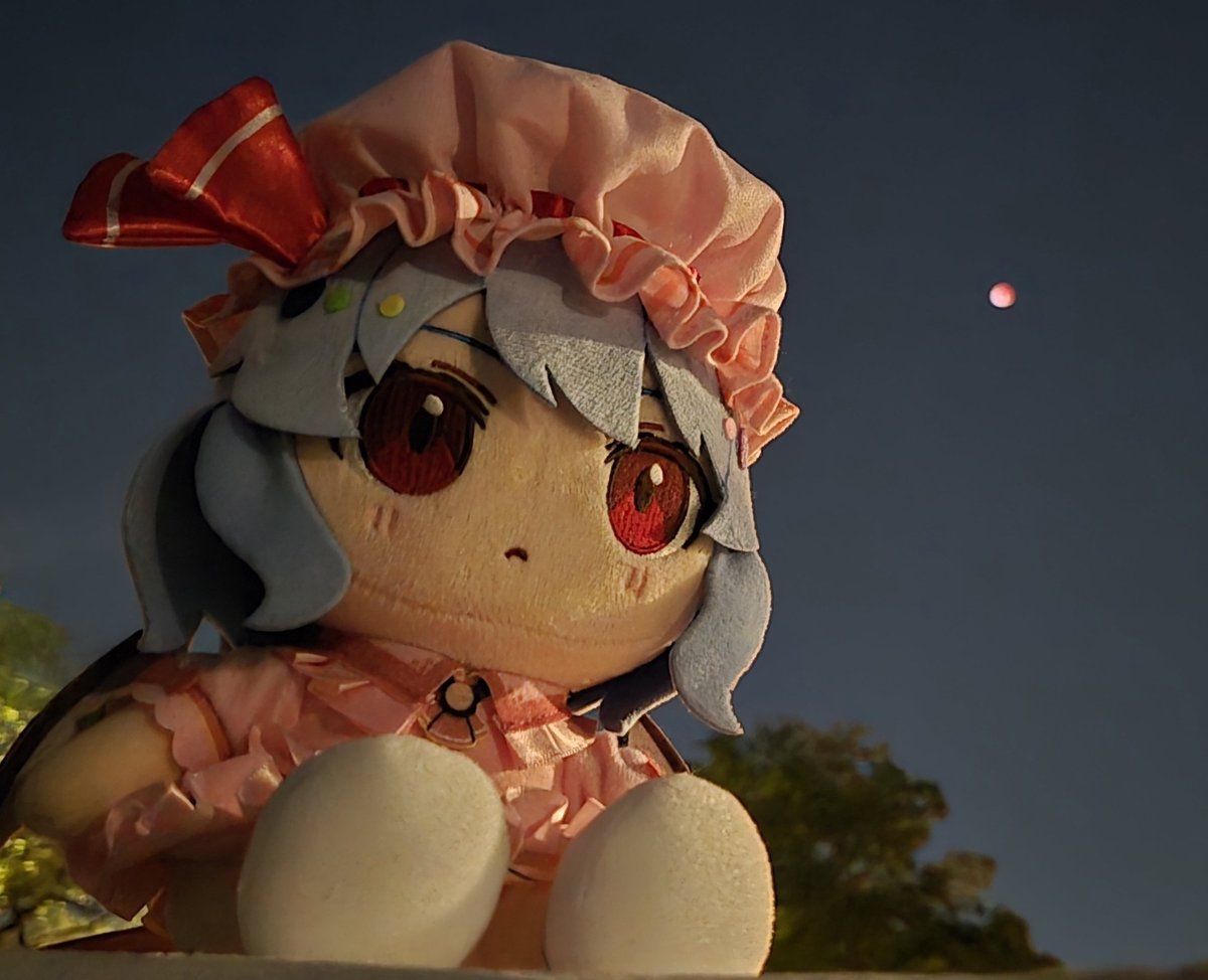 Took Remilia out to see the blood moon