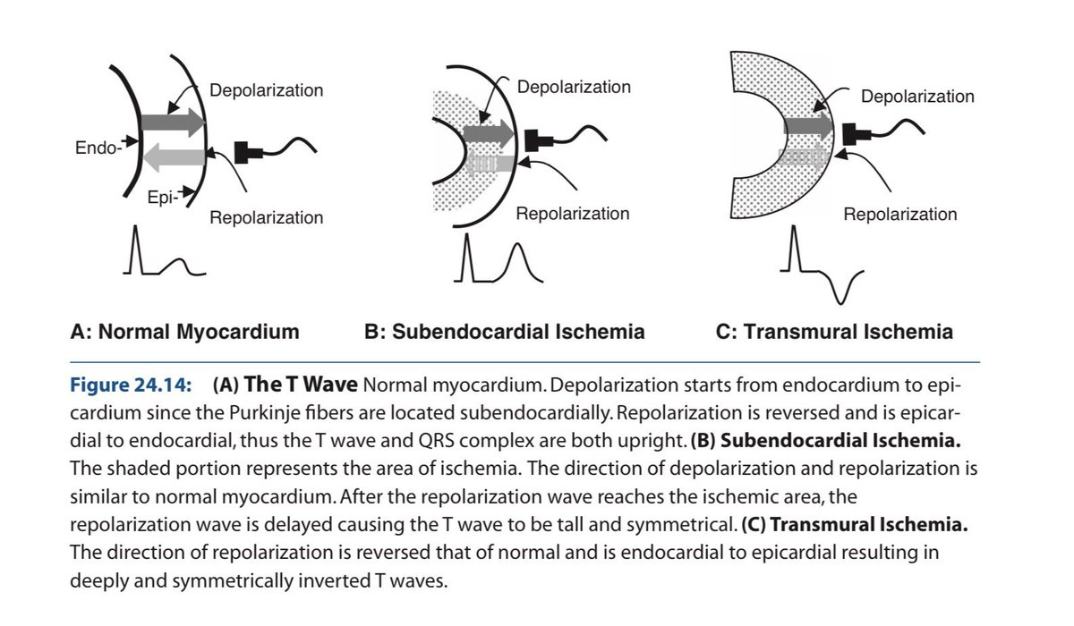 Dr. Shiv_Kumar tweet media