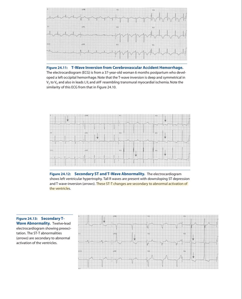Dr. Shiv_Kumar tweet media