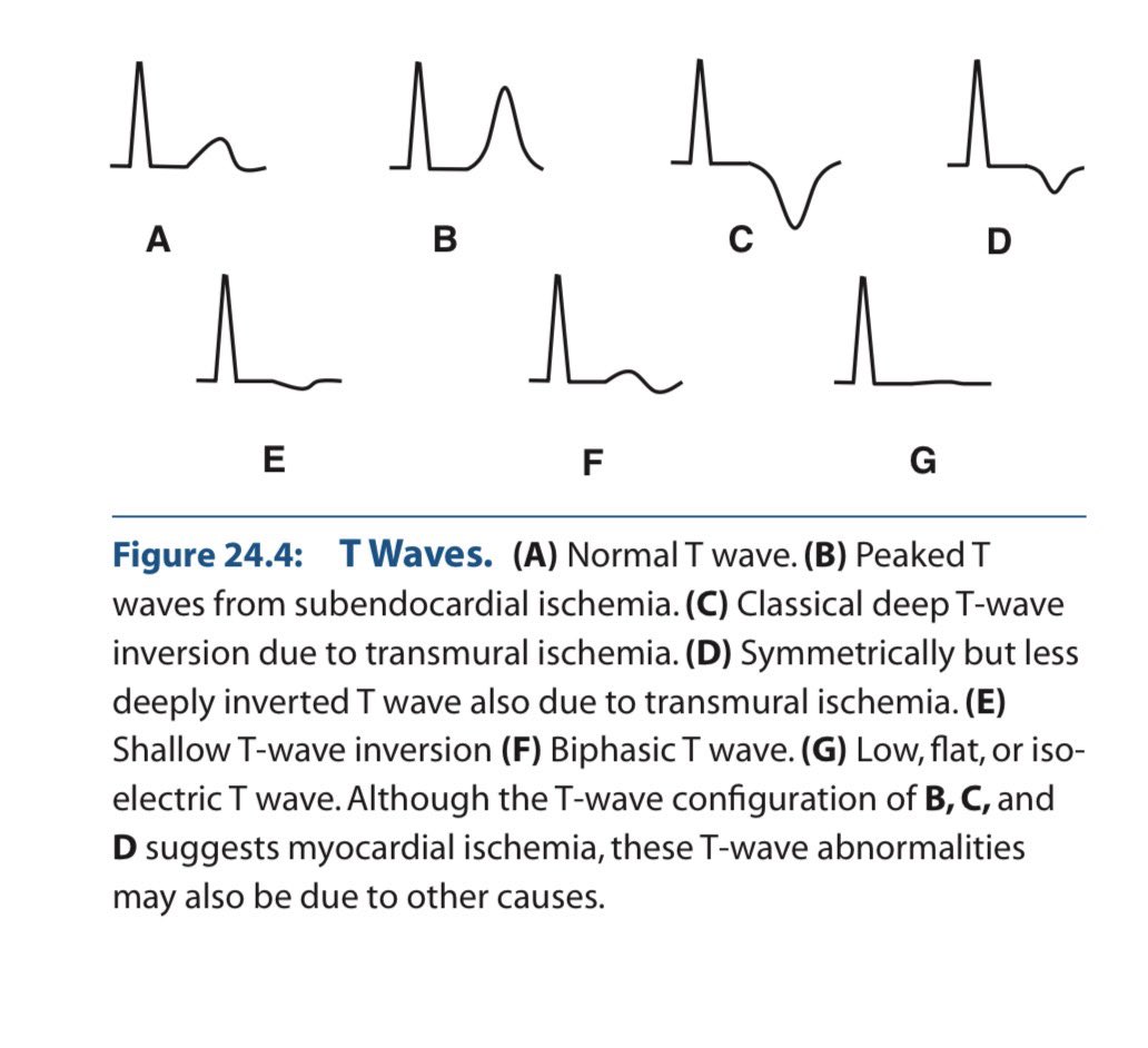 Dr. Shiv_Kumar tweet media