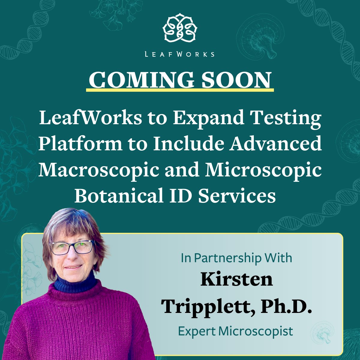 LeafWorks tweet media