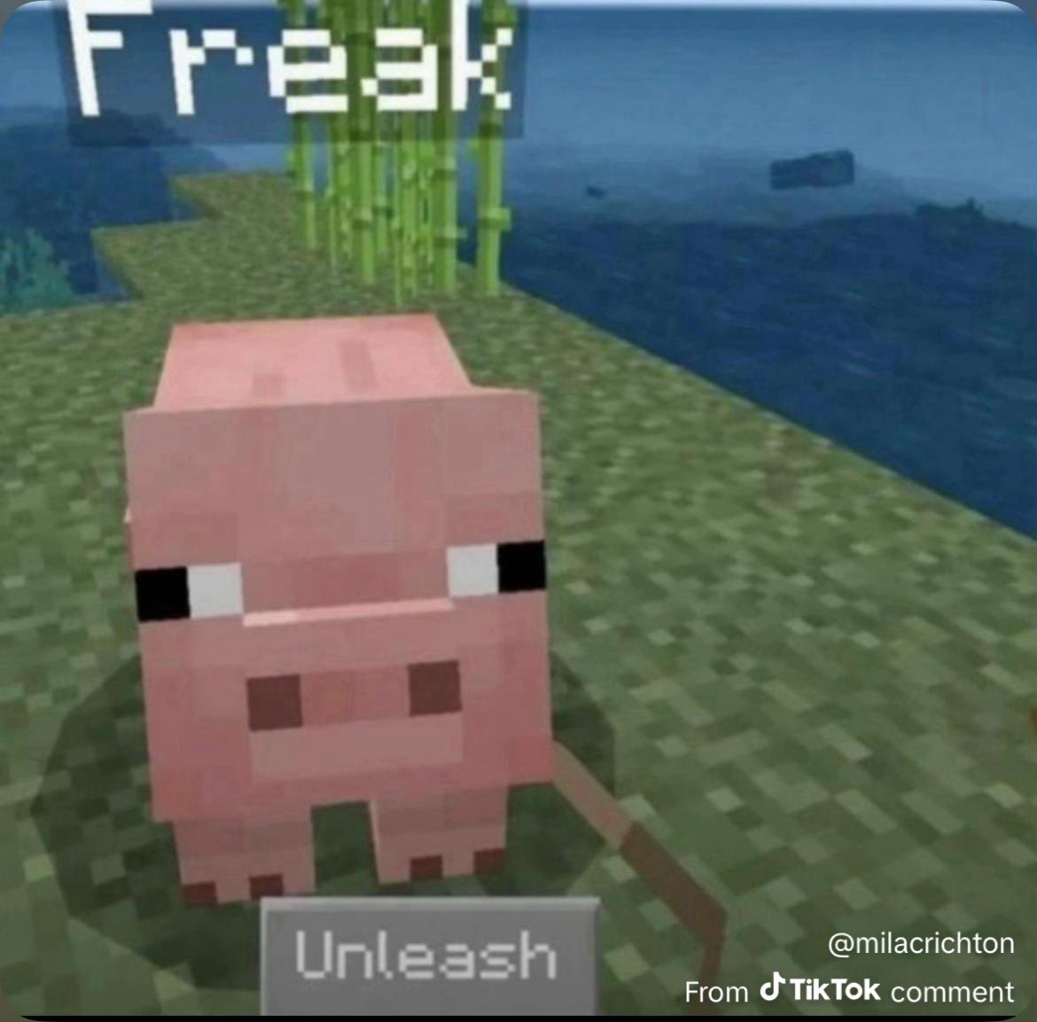 lewis ❄️ tweet media