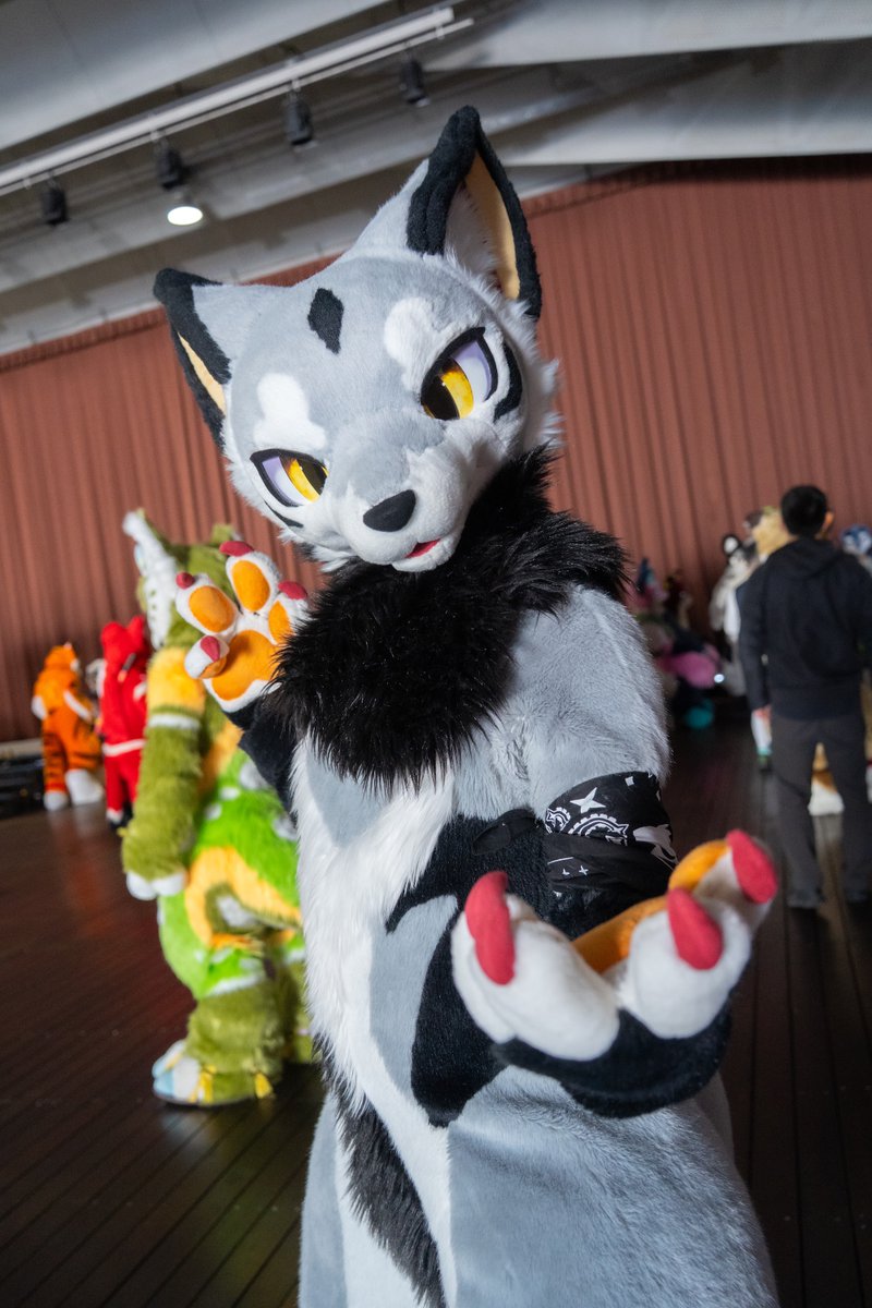 るん (Run)→FurstClass (@run_charizard) / Posts / X