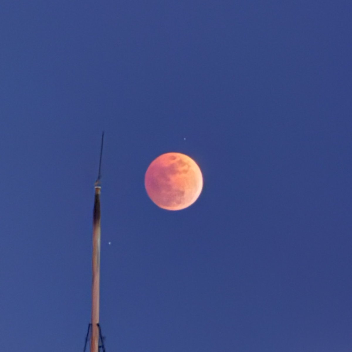 우와 달에 떡 만드는 토끼 봤다!!! 🐰🌕