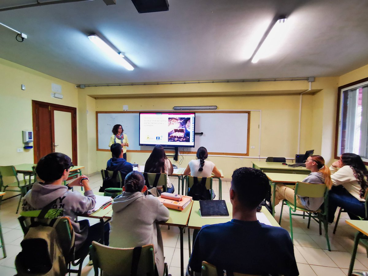 IES El Rincón tweet media