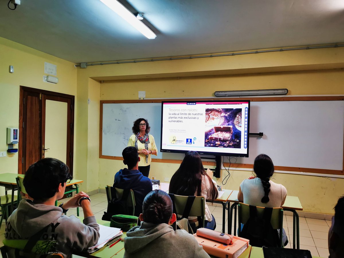 IES El Rincón tweet media