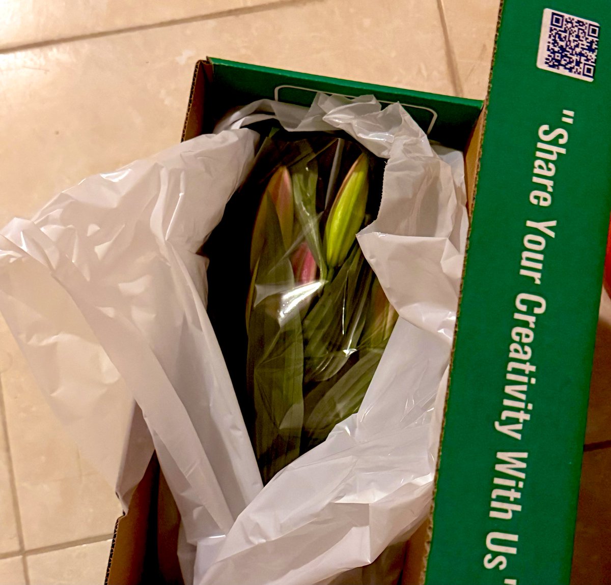 لِيَـان tweet media