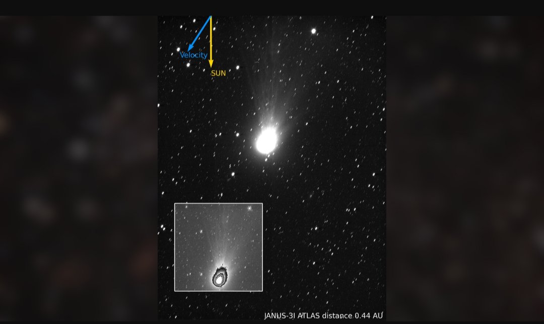 Stephanie SternProtz tweet media