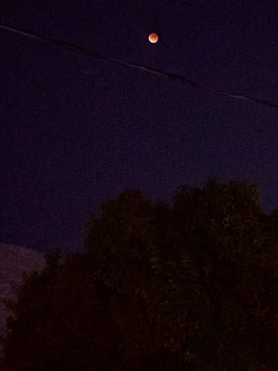sinner5550's tweet photo. #EclipseLunar 🌖🩸 https://t.co/AMuPEzl9VQ