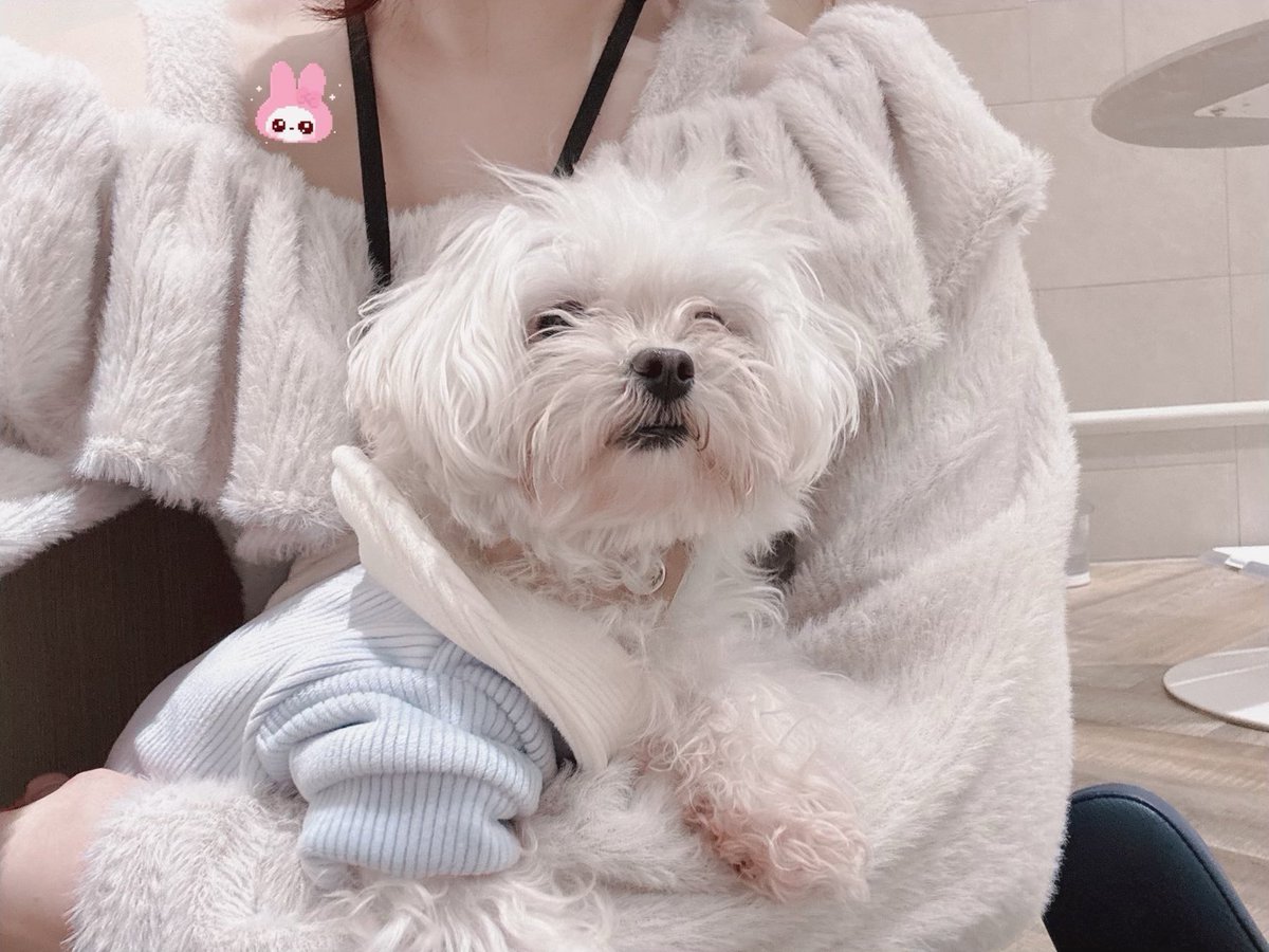 lq44av's tweet photo. 🏷︙𝐭𝐚𝐠 .

『　 もっと幸せが溢れますように🎀🎶　』

05⌇♀⌇砂糖⌇嫉妬⌇依存

全反応気になりさん無言フォローでお迎え♥

 #病み垢女子
 #お友達募集 
 #お友達募集中 
 #病み垢さんと繋がりたい 
 #病み垢女子と繫がりたい 
 #病み垢さんと友達になりたい https://t.co/A1v5pXSkTg