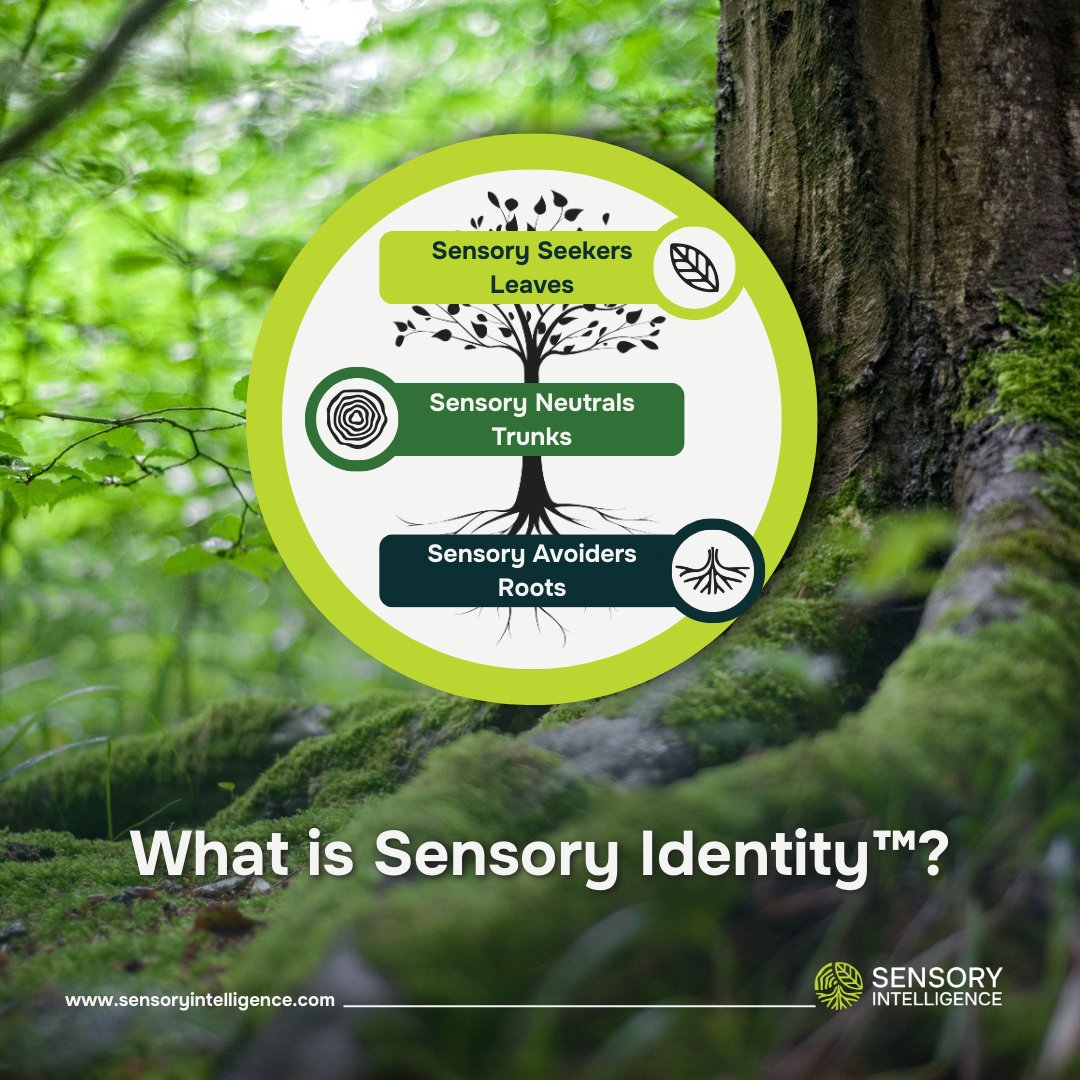Sensory Intelligence tweet media